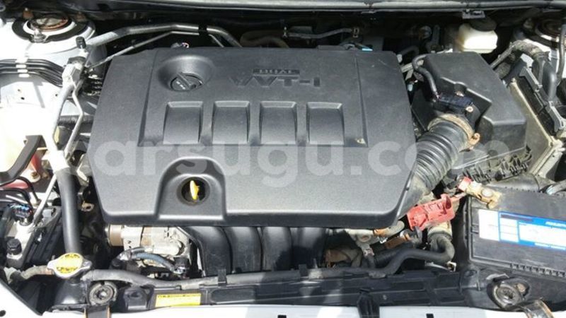 Big with watermark 14368725 10210707138497836 6301935212738049887 n