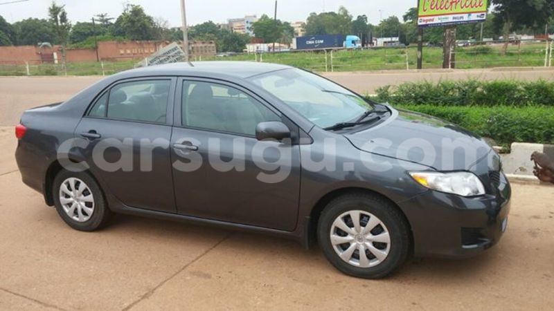 Big with watermark 14344360 195243170887525 1476089703380270021 n