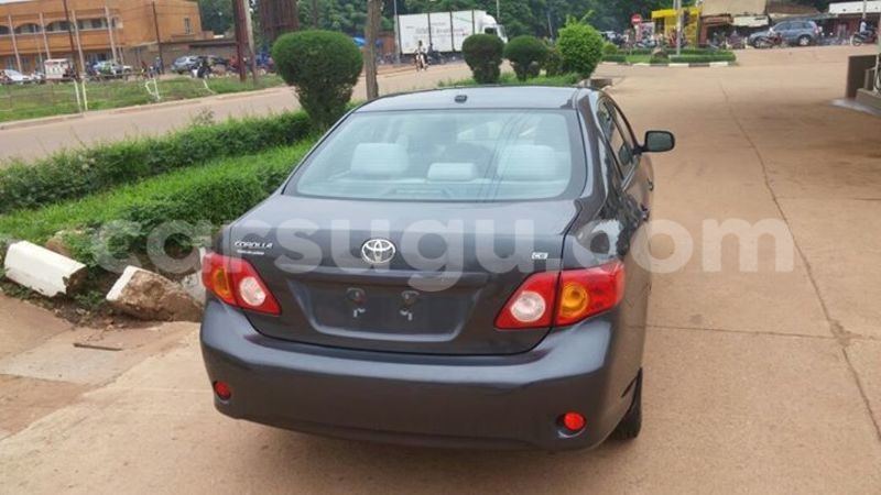 Big with watermark 14324596 10209113455147535 4826326470268354662 o