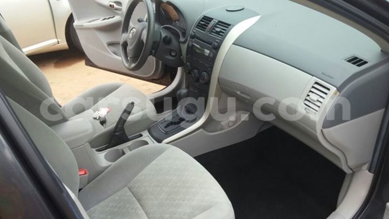 Big with watermark 14355616 1652943051684902 3641046762615807478 n