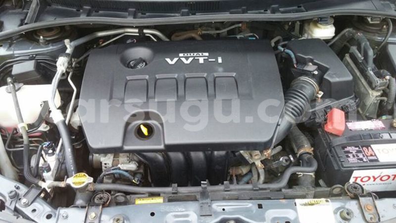 Big with watermark 14359059 1652943071684900 403400673474555187 n