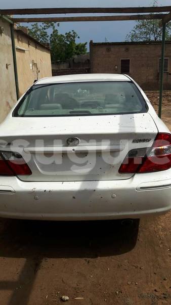 Big with watermark 14138662 1746685915580649 9078383618492148529 o