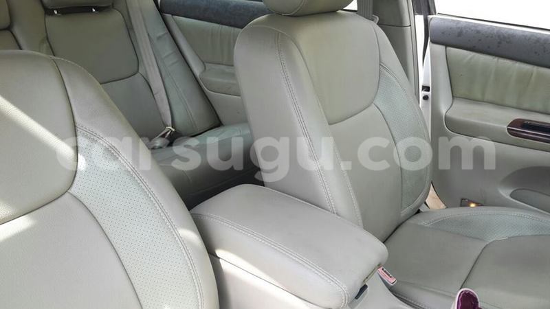 Big with watermark 14316981 10210707138857845 8349215952595816907 n