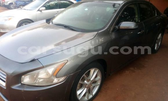 Acheter Occasion Voiture Nissan Maxima Autre à Ouagadougou, Burkina-Faso Acheter Occasion Voiture Nissan Maxima Autre à Ouagadougou, Burkina-Faso