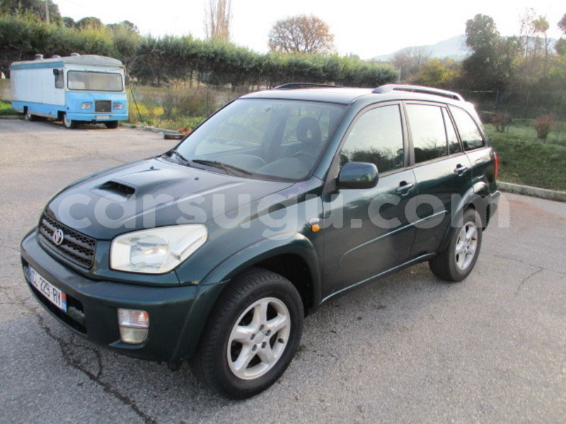 Big with watermark img 1145