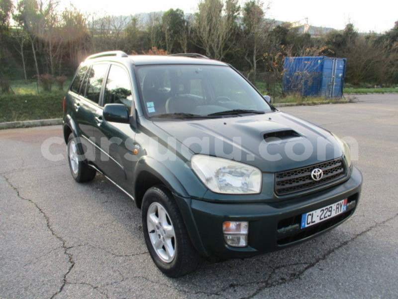 Big with watermark img 1146