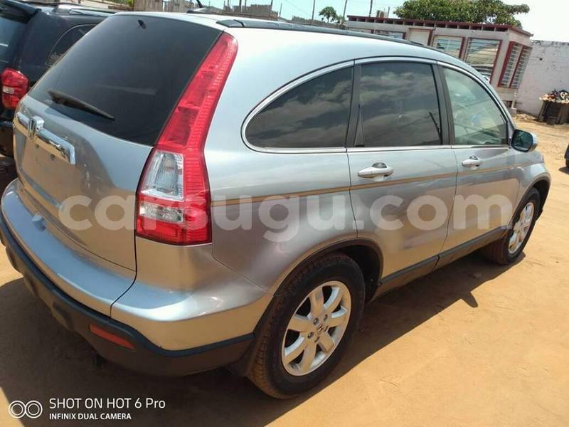 Big with watermark 53117856 1227575277398603 6493145439427100672 n