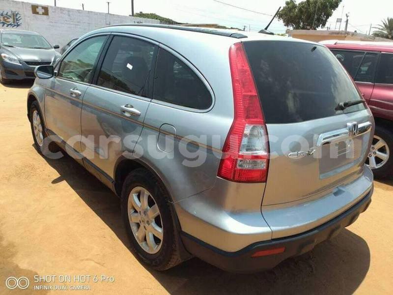 Big with watermark 53739946 1227575247398606 5604106326054535168 n