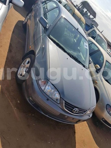 Big with watermark 47187911 1162972300525568 4143747295713689600 n