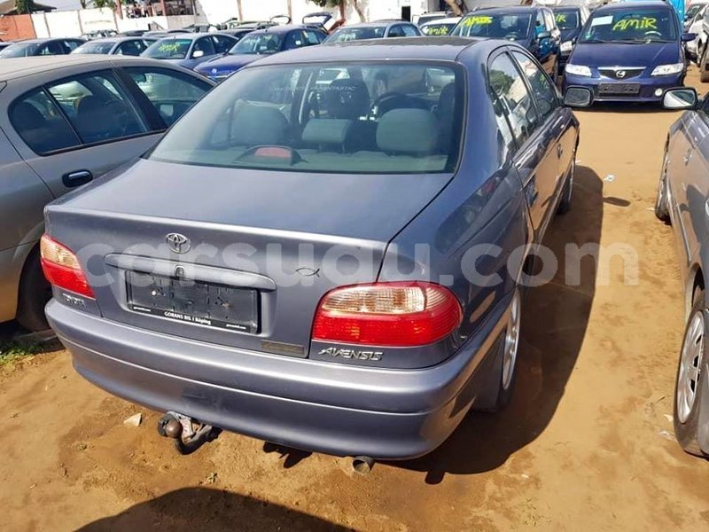 Big with watermark 47473839 1162971383858993 8747318961277763584 n