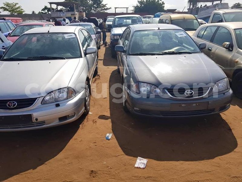 Big with watermark 47081483 1162972910525507 390265793943699456 n