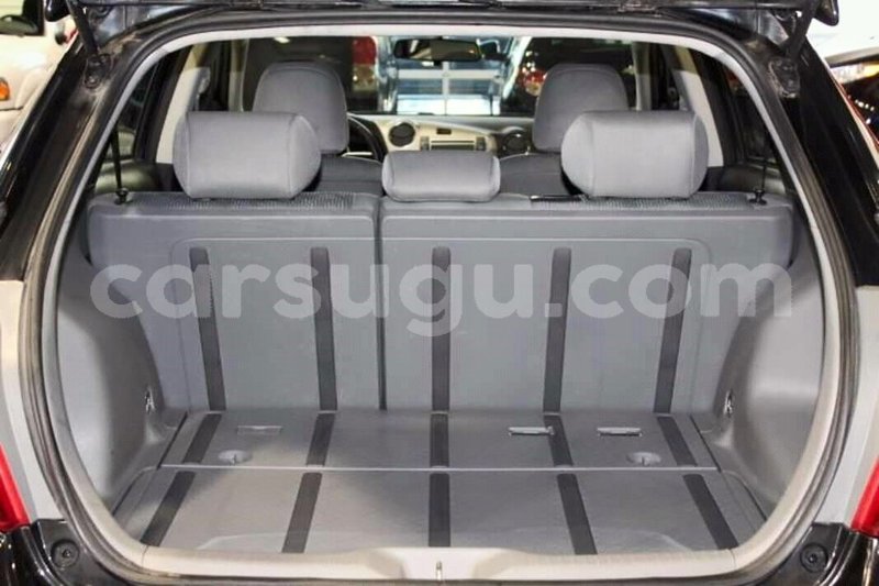 Big with watermark 46787297 1159690214187110 8934611747638083584 o