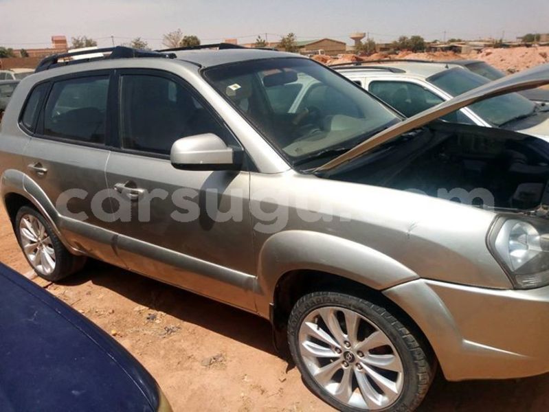 Big with watermark 52596274 2303034286599410 6398327696996171776 o