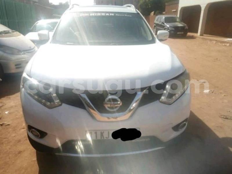 Big with watermark 52591403 2301591590077013 5054722228701102080 n