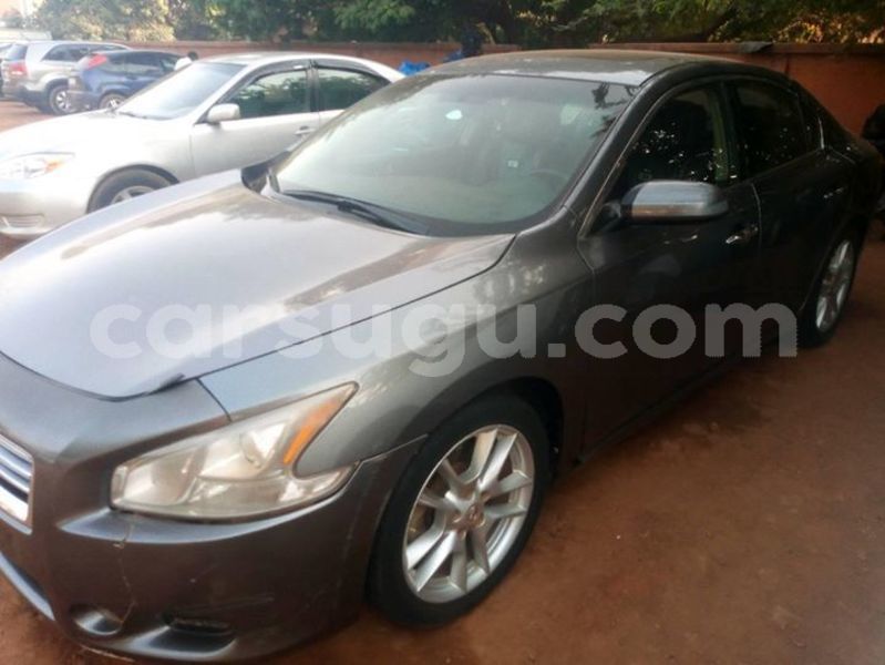 Big with watermark 53439746 2301591456743693 8728880645201199104 o