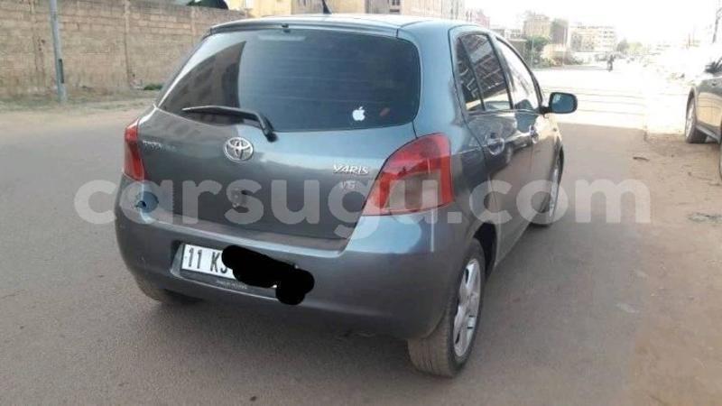 Big with watermark 52938776 2302547609981411 4924616137318072320 n