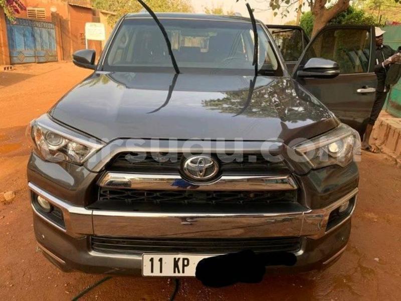 Big with watermark 52602646 2302547529981419 7864200142495154176 n