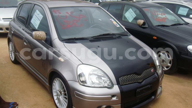 Big with watermark 14361282 1124790234235133 2594489126237502130 o