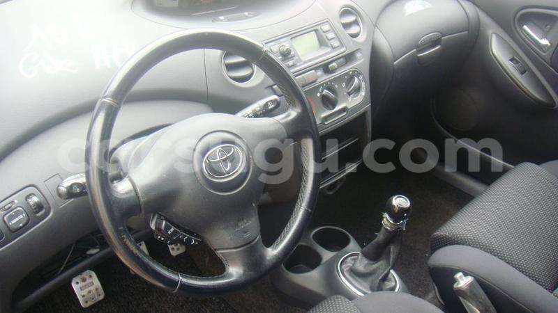 Big with watermark 14372123 1124789894235167 4362249433158045291 o