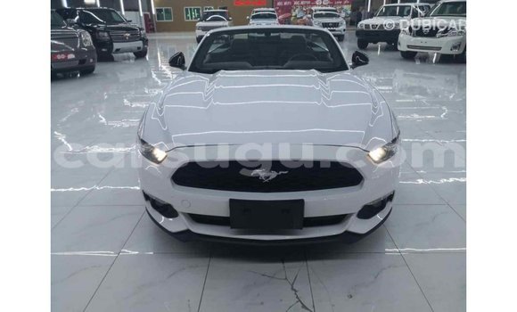 Sayi Imported Ford Mustang Other Mota in Import - Dubai a Burkina Faso Sayi Imported Ford Mustang Other Mota in Import - Dubai a Burkina Faso