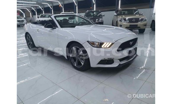 Sayi Imported Ford Mustang Other Mota in Import - Dubai a Burkina Faso Sayi Imported Ford Mustang Other Mota in Import - Dubai a Burkina Faso