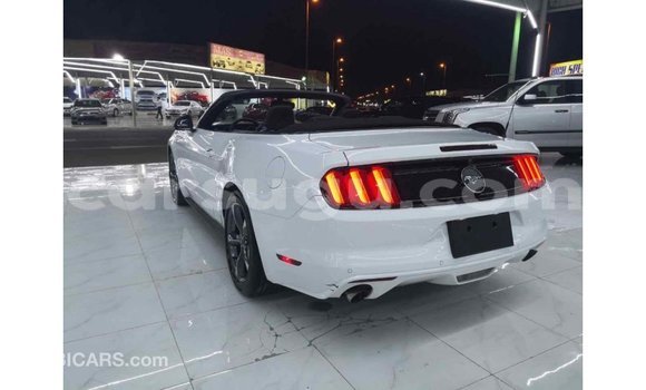 Sayi Imported Ford Mustang Other Mota in Import - Dubai a Burkina Faso Sayi Imported Ford Mustang Other Mota in Import - Dubai a Burkina Faso