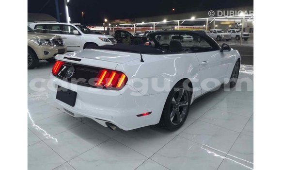 Sayi Imported Ford Mustang Other Mota in Import - Dubai a Burkina Faso Sayi Imported Ford Mustang Other Mota in Import - Dubai a Burkina Faso