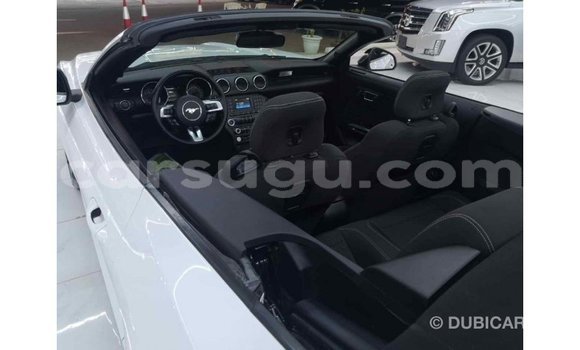 Sayi Imported Ford Mustang Other Mota in Import - Dubai a Burkina Faso Sayi Imported Ford Mustang Other Mota in Import - Dubai a Burkina Faso