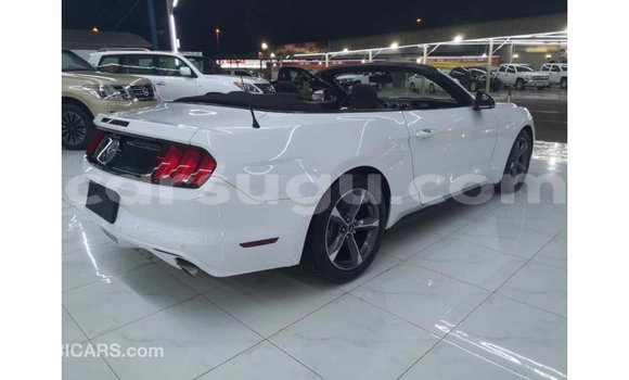 Sayi Imported Ford Mustang Other Mota in Import - Dubai a Burkina Faso Sayi Imported Ford Mustang Other Mota in Import - Dubai a Burkina Faso
