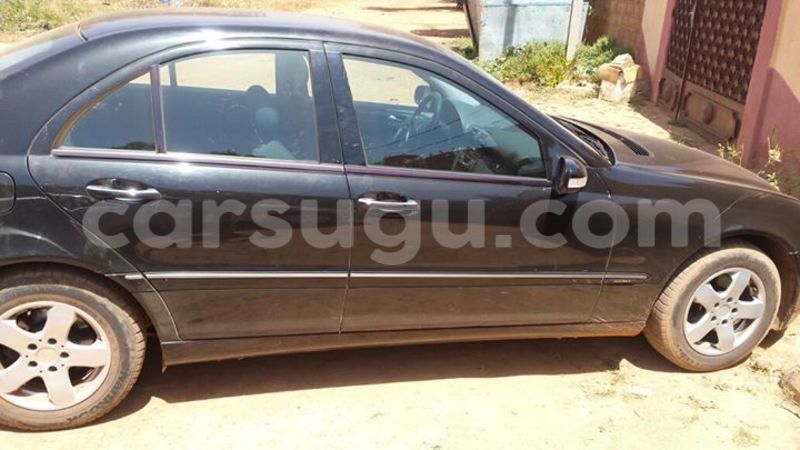 Big with watermark 14695326 1276538865723864 3907257530309395993 n