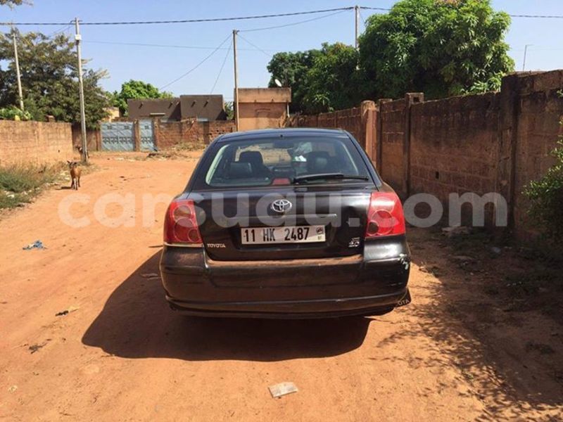 Big with watermark 14572839 1276538899057194 7605807282165903254 n