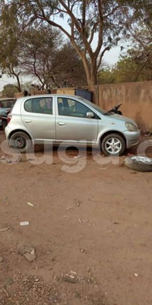 Big with watermark 54430368 1938422232950935 1708325548381437952 n