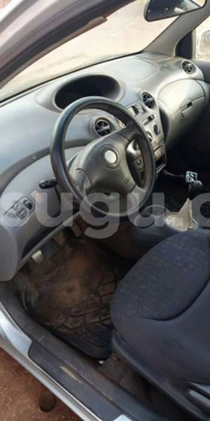 Big with watermark 55458260 1938422186284273 605267420080242688 n