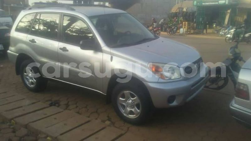 Big with watermark 54515458 1935298519929973 4454739168878133248 o