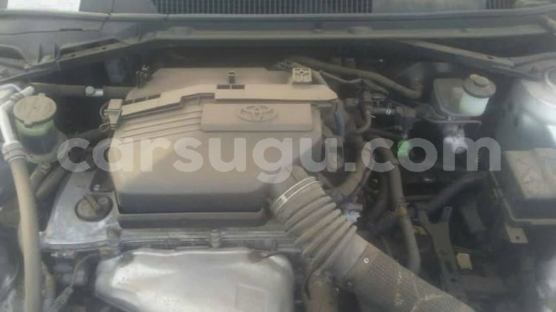 Big with watermark 54228795 1935298569929968 3978100380021030912 o