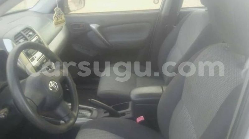 Big with watermark 54519133 1935298676596624 5279514103939858432 o