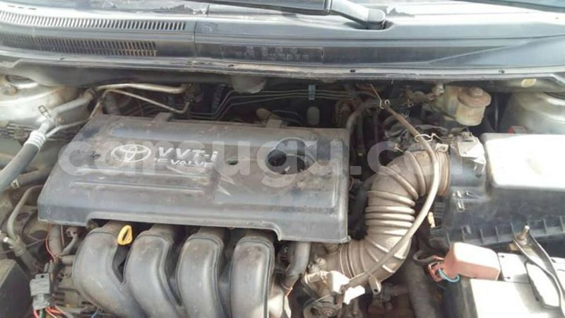 Big with watermark 54257578 1927511757375316 7730715015656767488 o