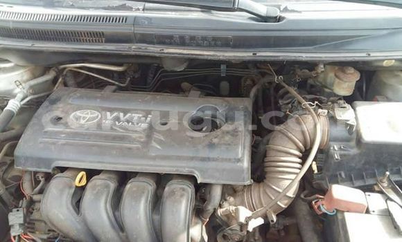 Buy Used Toyota Corolla Verso Silver Car in Ouagadougou in Burkina Faso Buy Used Toyota Corolla Verso Silver Car in Ouagadougou in Burkina Faso