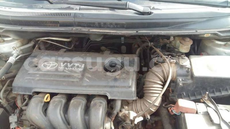 Big with watermark 53608544 1927511540708671 8233006042150076416 o