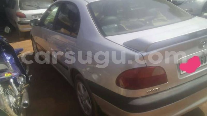 Big with watermark 53182990 1908952435897915 5839932848450043904 o