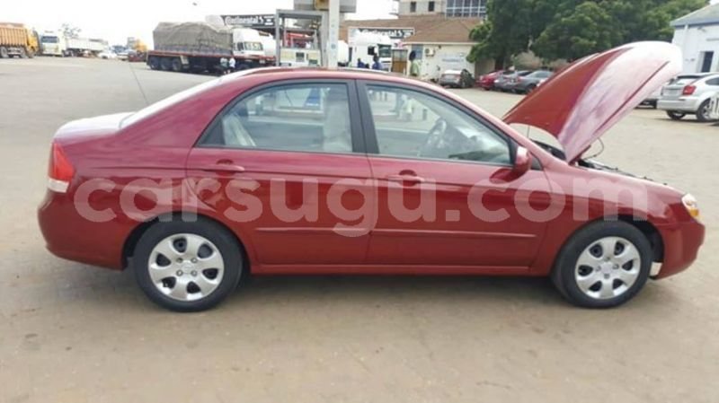 Big with watermark 52905681 1897961833663642 4173337764957257728 o 1