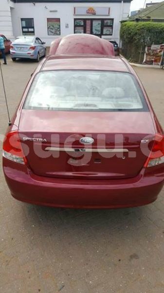 Big with watermark 52350408 1897961776996981 4665577803473747968 n