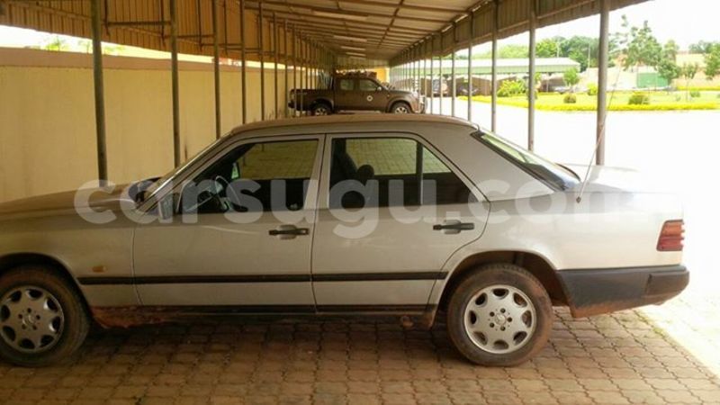 Big with watermark 14572839 1276538899057194 7605807282165903254 n