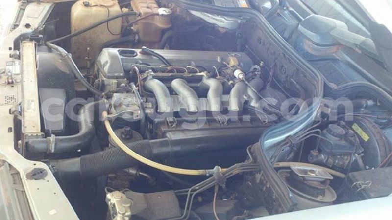 Big with watermark 14695326 1276538865723864 3907257530309395993 n