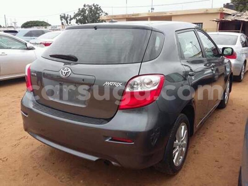 Big with watermark 14572839 1276538899057194 7605807282165903254 n