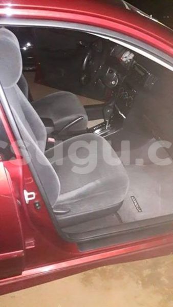 Big with watermark 14572839 1276538899057194 7605807282165903254 n