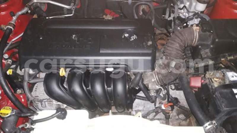 Big with watermark 14695326 1276538865723864 3907257530309395993 n