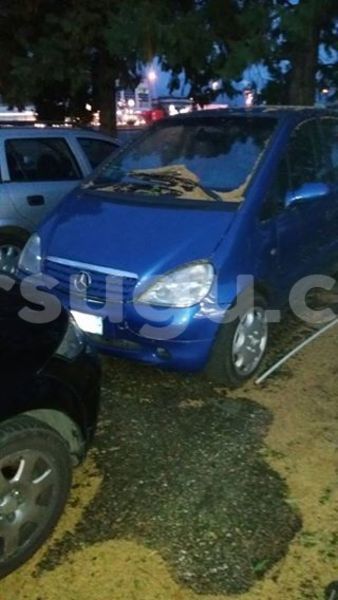 Big with watermark 14572839 1276538899057194 7605807282165903254 n