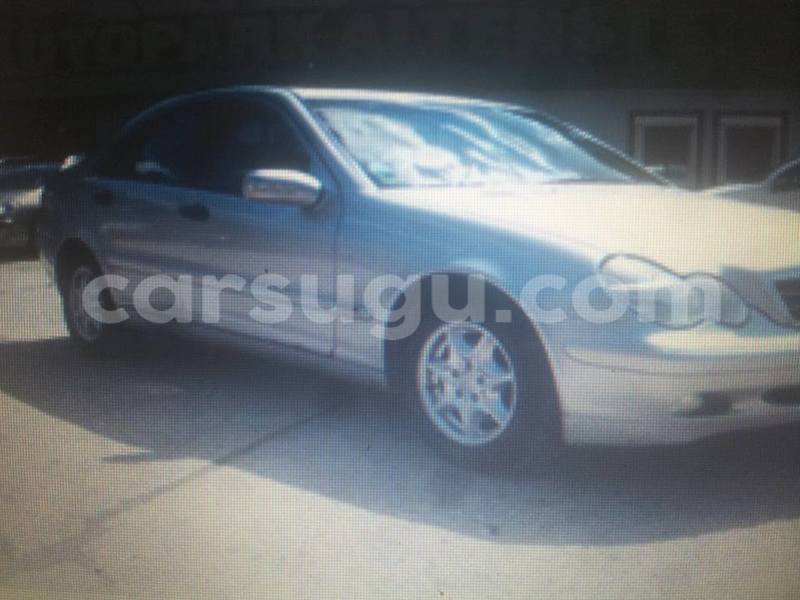 Big with watermark 14937420 10210899464142563 5142262507148257599 n