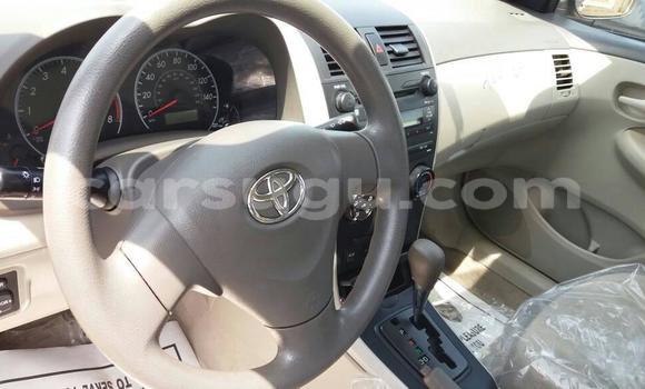 Acheter Occasion Voiture Toyota Corolla Beige à Ouagadougou, Burkina-Faso Acheter Occasion Voiture Toyota Corolla Beige à Ouagadougou, Burkina-Faso